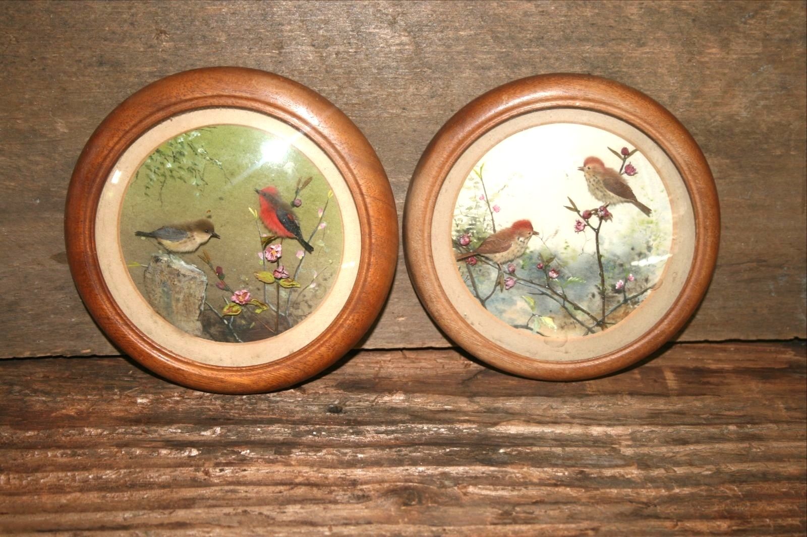 Flycatchers and Woodthrushes (5-inch)